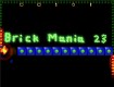 Screenshot of Brick Mania 23