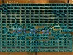 Screenshot of Eragoncola³s levels