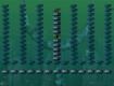 Screenshot of “Blue Sticks”