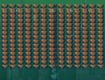 Screenshot of “Wild and cool Movement”