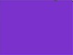Screenshot of “Purple”
