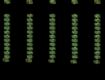 Screenshot of “search lights”