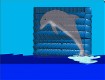 Screenshot of “Dolphin”