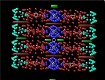 Screenshot of “Enter Section”