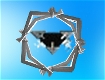 Screenshot of “Wild Spinner”