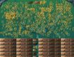 Screenshot of “905 Rings Can you get them all...NOPE Sorry!”