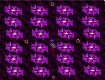 Screenshot of “Laser Ball Blast”