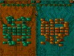 Screenshot of “Mayan Duo”