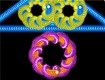 Screenshot of Canvas Creations