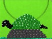 Screenshot of “Green Turtle”