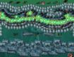 Screenshot of “some more rings and balls”