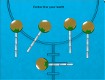 Screenshot of “Caramel apples”