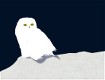 Screenshot of “Snowy Owl”