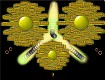 Screenshot of Force And Motion (001)