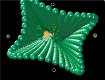 Screenshot of “The Green Four Points”