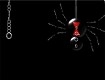 Screenshot of “Spooky Spider”