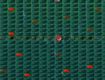Screenshot of “Forward flip, Backward Flip?”