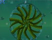 Screenshot of “Seaweed”