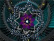 Screenshot of “Stars”