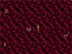 Screenshot of “Just worms all over”