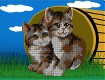 Screenshot of “kittens”