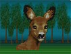 Screenshot of “deer”