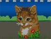 Screenshot of “kitten”