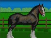 Screenshot of “horse”