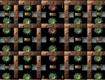 Screenshot of “Rooms”