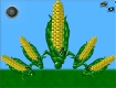 Screenshot of “Corncobs”