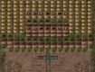 Screenshot of “Crazy Brick”