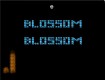 Screenshot of “...A Blossom...”