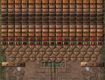 Screenshot of “Mayan Fortress”