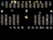 Screenshot of “Magnetic Personalities”