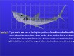 Screenshot of “Tiger Shark”