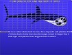 Screenshot of “Whale Shark”