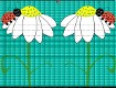 Screenshot of “Mirrored bugs”
