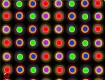 Screenshot of “Circles, Circles, Circles”