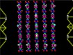Screenshot of “DNA Strands”