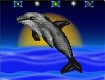Screenshot of “Sunset Dolphin”