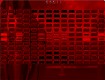 Screenshot of “03500.370:RED:3”