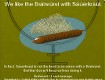 Screenshot of “Bratwurst with Sauerkraut”