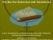 Screenshot of “Bratwurst with Sauerkraut”