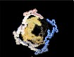 Screenshot of The Fantastic World Of Spiral
