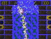 Screenshot of “Game of Chicken”