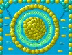 Screenshot of “-7-”