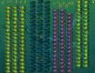 Screenshot of “Building walls.”