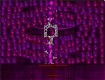 Screenshot of “Box Of  Pink Spirals”