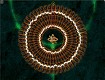 Screenshot of Toktok's 96th -- Movements