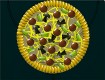 Screenshot of “Pizza.”